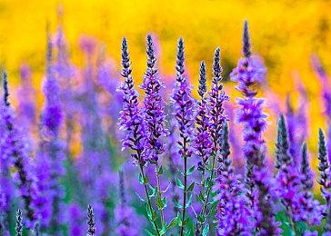 三国无双新作《真三国无双：起源》将于2025年发售